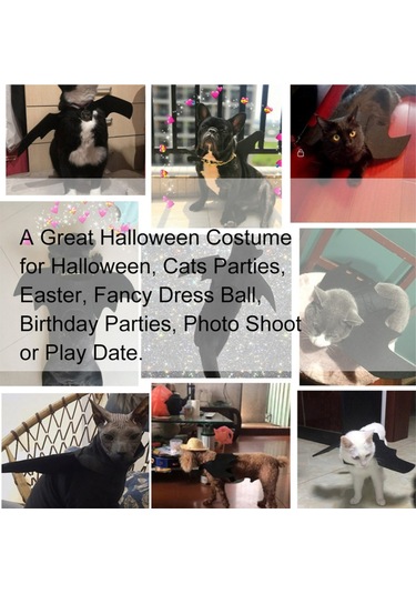 Shineyee Cadılar Bayramı Evcil Hayvan Yarasa Kostümü Cadılar Bayramı İçin Kedi Yarasa Kostümü Kediler Köpekler İçin Evcil Hayvan Kostümü-34