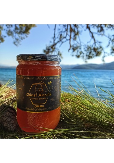 Çam Balı 850 Gr