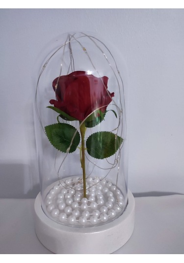 Tek Kırmızı Gül İşıklı Fanus