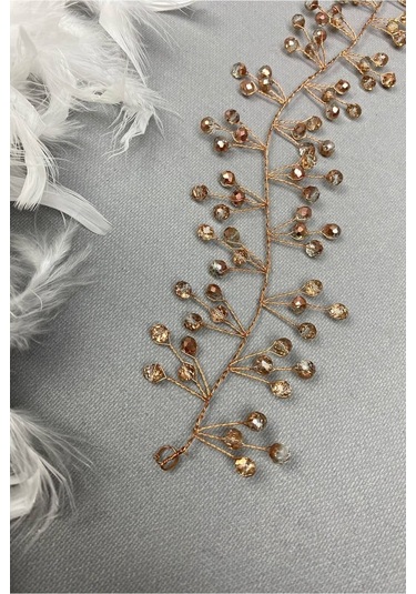 FdayAksesuar Kadın Rose Rengi Sia Model Saç Aksesuarı FRDY31310