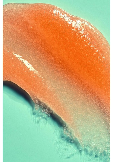 Tree Hut Bikini Reef Shea Sugar Scrub Vücut Peelingi 510gr