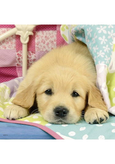 Ravensburger 3x49 Parça Puzzle Puppies 080656