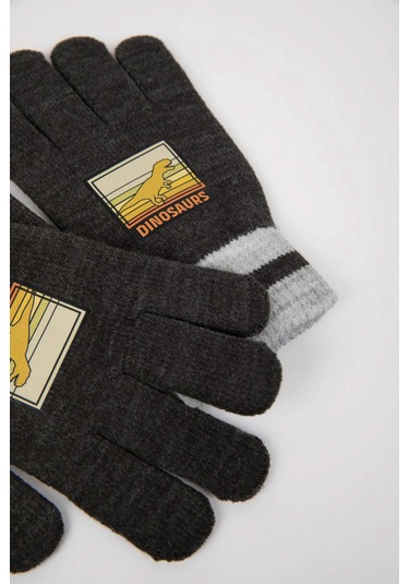 DeFacto Erkek Çocuk Baskılı Triko Eldiven S0406A624WNAR1