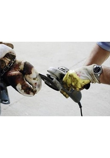 Kerbl Büyükbaş Tırnak Kesme Diski (115 mm) Standart