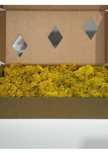Reindermoss Şoklanmış Norveç Yosunu Terarium Yosunu Sarı 500 Gr.