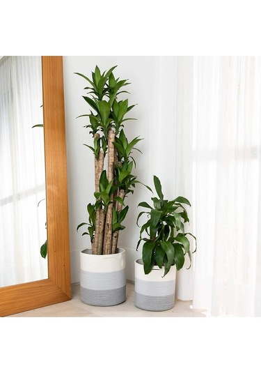 Ikili Dekoratif Jüt Saplı Hasır Sepet Saksı 30 Cm Ve 25 Cm , Dekoratif Saksı Ve Havluluk Gribeyaz