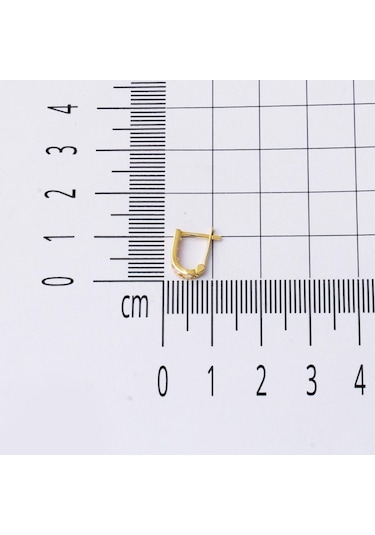 Bilezikci 14 Ayar Altın Pembe Bebek Küpesi KPDLY14K28470