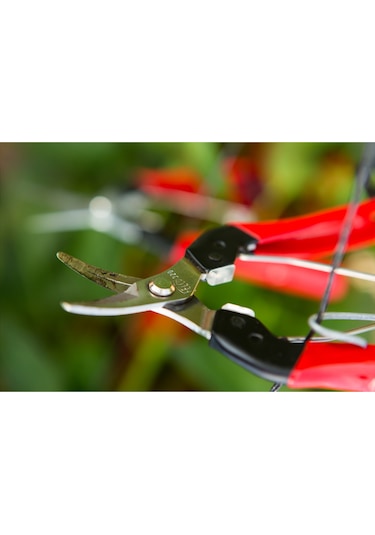 Felco 320 Meyve Toplama Makası- 112569