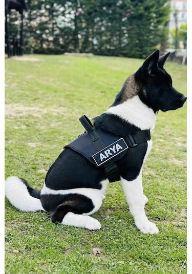 MgTasma K9 Göğüs Tasması Siyah