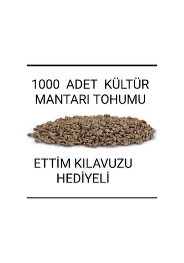 1000 Adet Kültür Mantarı Tohumu