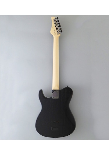 Fujigen Iliad Elektro Gitar Jıl3ashde664r/opb