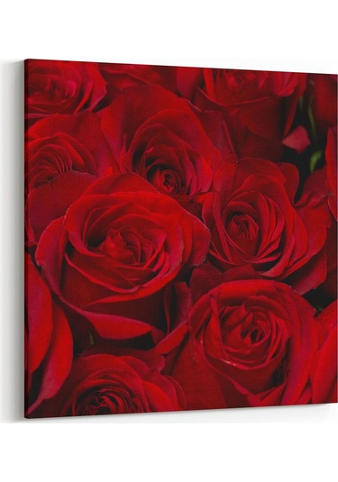 Olla 60x60 Cm 11557k Çiçek Görseli Kare Kanvas Tablo