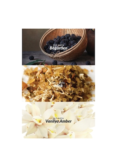 Avon Attraction Kadın Vücut Losyonu 125 ML