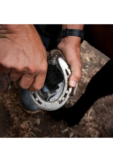 Elmpaly Metal Kancalı At Nalı Temizleme Fırçası Dayanıklı Pp Malzeme Ergonomik Sap