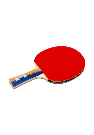 Slazenger Master ITTF Onaylı Masa Tenis Raketi (6 Star)