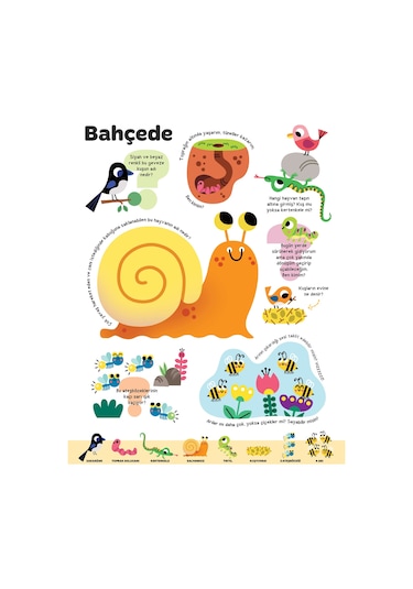 Büyük Sorular Kitabım Hayvanlar - Sandra Lebrun et Loic Audrain - Yapı Kredi Yayınları