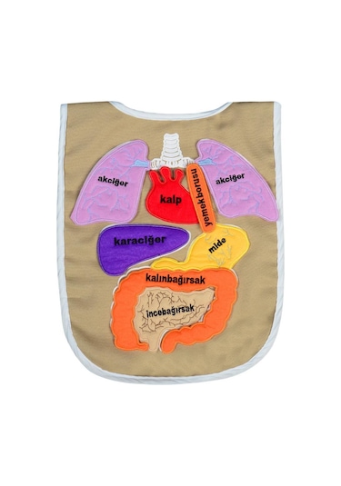 Eğitici Organ Önlüğü