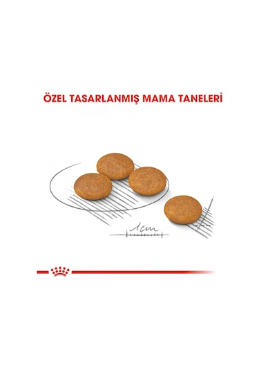 Royal Canin Mini Dermacomfort Yetişkin Köpek Maması 3 KG