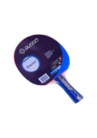 Busso Bs4802 Hudson 4 Yıldız Masa Tenisi Raketi