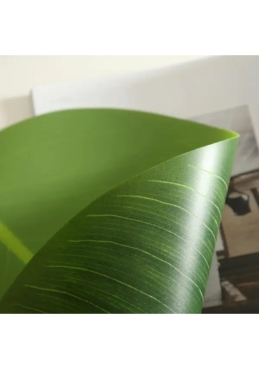 Willowhaven 4 Adet Yaprak Desenli Dayanıklı Ve Silinebilir Süs Ve Servis Altlığı Seti Yeşil Yeşil