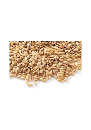 Buğday Yem 5 Kg Doğal Buğday Yemi Tavuk Yemi Kuş Yemi Kanatlı Yem