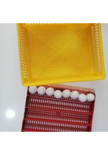 Gelişim ve Çıkım Tablası Küçük