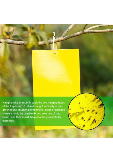 Homyl 10/20/30 Çift Taraflı Yapışkan Sivrisinek Tuzakları 20-adet