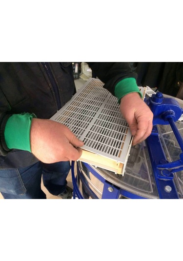 Ana Arı Hapsetme 3 Çerçeveli