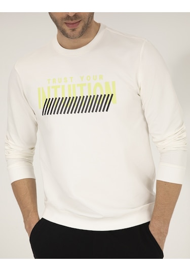 Pierre Cardin Erkek Ekru Sweatshirt 50262638-vr019 Ekru