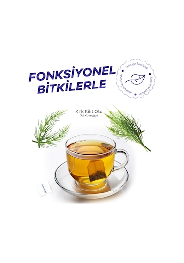 Prof Saracoglu Atkuyruğu Kırkkilitotu Equisetum Arvense Bitki Çayı 20'li