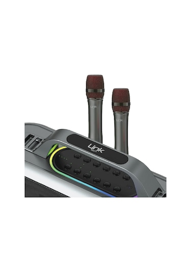 Linktech M420 Premium Extra Bass Çift Mikrofonlu Kablosuz Hoparlör