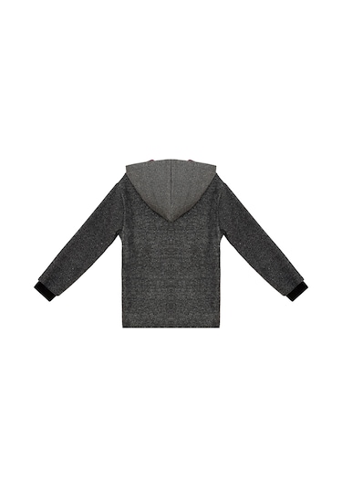 Denokids Dino Erkek Çocuk Kapüşonlu Sweatshirt Gri