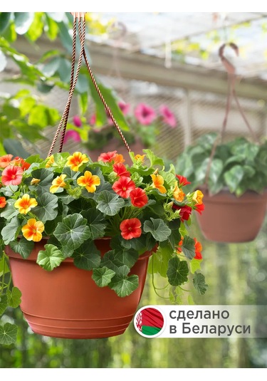 Ho'me Askı Tipi Dış Mekan Çiçek Saksısı Seti, 4 Adet Her Bir Adet 3,7 Litre 373627391