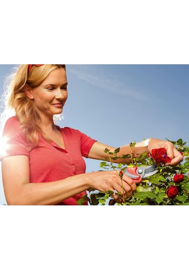 Bağ Bahçe Ağaç Dalı Çalı Budama Kesme Makası Saplı Çatal Çapa Laz