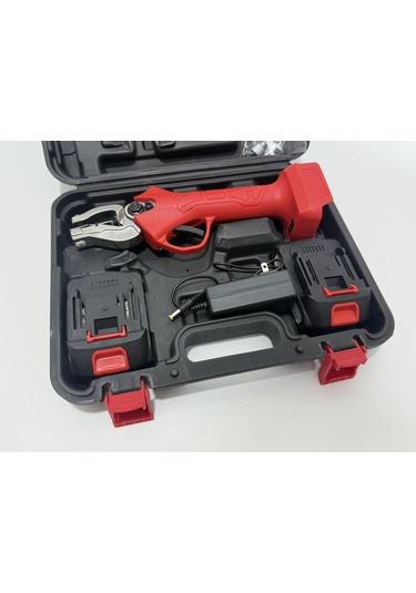 Akülü Küpe Takma Pensi