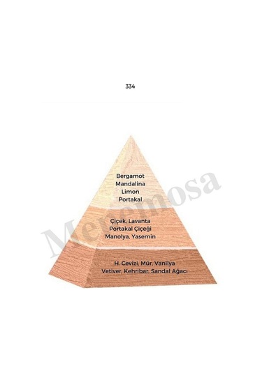 Bargello 334 Kadın Parfüm EDP 50 ML Floral - Mnms50334 Aromatik