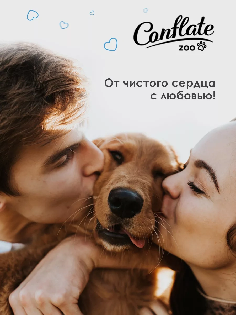 Conflate Hayvan Kokuları İçin Klorheksidinli Temizlik Nötralizatörü 3l 197035675