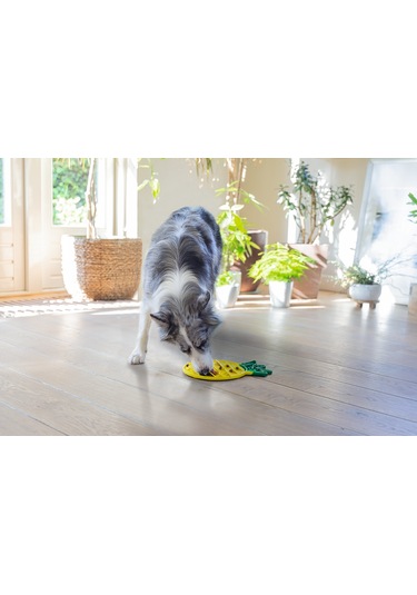 Beeztees Yavru Köpek Yaş Mama Yeme Oyuncağı, Ananas Şeklinde,silikon, Sarı, 20x20cm