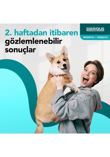 Pawgus Veteriner Serisi Köpekler Için Probiyotik Prebiyotik Sindirim Sistemi Düzenleyici 30 x 2 G