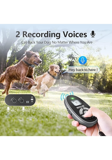 MODUS 4 Modlu Ultrasonic Telsiz Eğitim Tasması