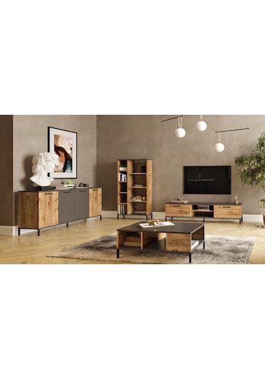 Robinhome Robin Home Troya Serisi Tv Ünitesi Orta Sehpa Konsol Kitaplık