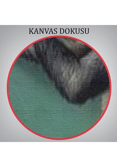 İnsanın Tersine Evrimine Anlatan Manmun Tablosu-6265 35 X 50