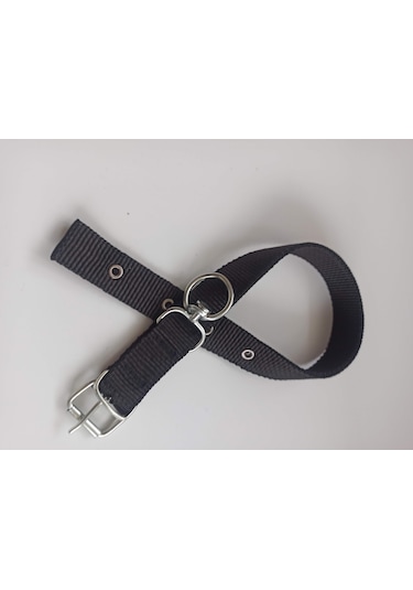 Kozaklı Orta Irk Köpek Tasması Siyah 60 x 3 CM Siyah