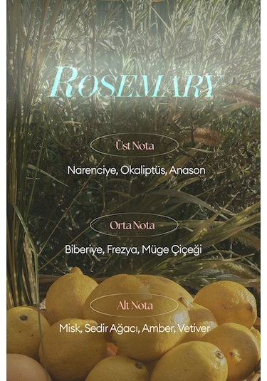 Missha A'pıeu Juicy Pang Perfume Hand Cream Rosemary