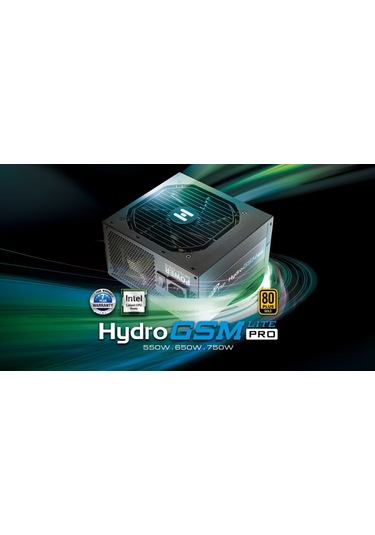Fsp Hydro GSM Lite PRO 80+ Gold Aktif PFC Gaming Güç Kaynağı 650 W