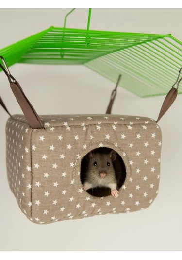 Loorı Kemirgenler İçin Pencereli Ev 19x19x12 Cm Asılı 165654310