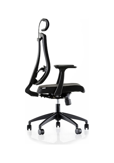 Dekofis Goldsit Ergonomik Yönetici Koltuğu