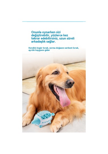 Mytopped Köpekler Diş Gıcırdıyor Oyuncak Kirpi Sızdıran Yiyecek Cihazı İnteraktif Eğitim Eğitici Köpek Oyuncakları Anti-diş Sızdıran Top