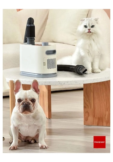 Pakeway Isı Ayarlı Kedi Köpek Saç Tüy Kurutma Makinesi - Beyaz
