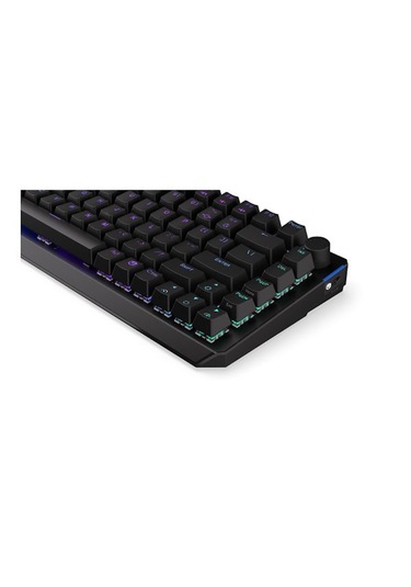 Endorfy Thock %75 Wireless Kailh Blue Switch Rgb İngilizce Kablos